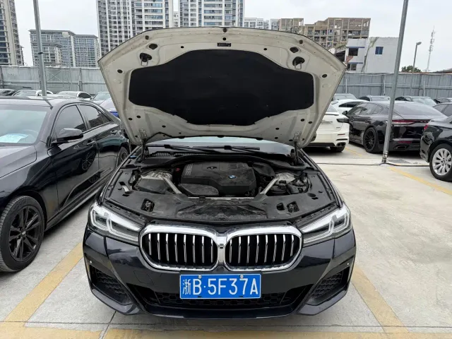 BMW 5 Series — Фото автомобиля 17
