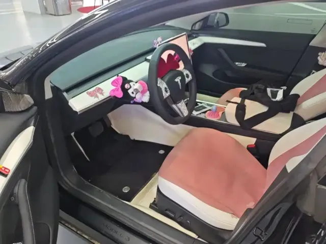 Tesla Model 3 — Фото автомобиля 14