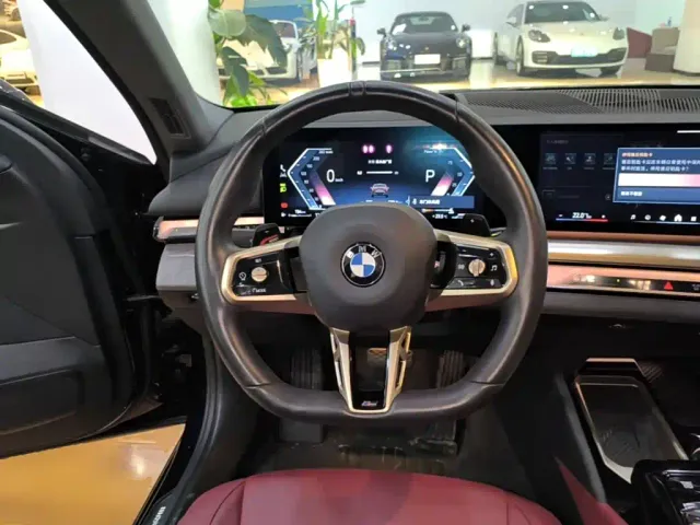 BMW 5 Series — Фото автомобиля 10