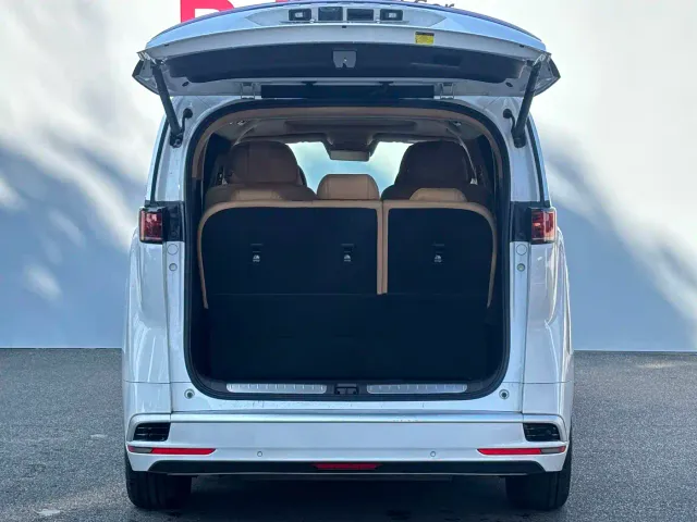 Denza D9 — Фото автомобиля 8