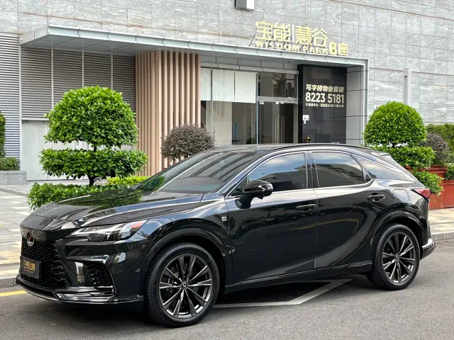Lexus RX — Фото автомобиля 6