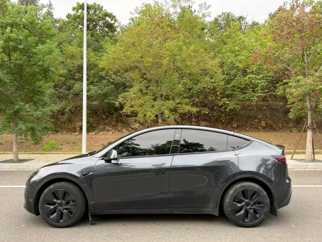 Tesla Model Y — Фото автомобиля 4