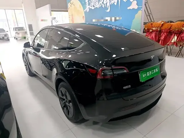 Tesla Model Y — Фото автомобиля 4