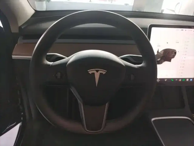 Tesla Model Y — Фото автомобиля 10