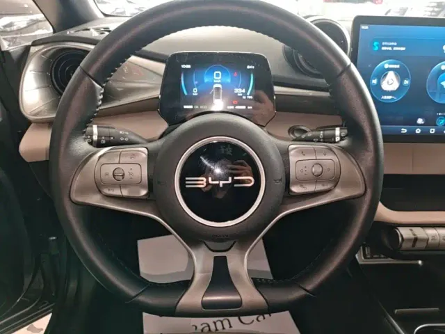 BYD Dolphin — Фото автомобиля 10
