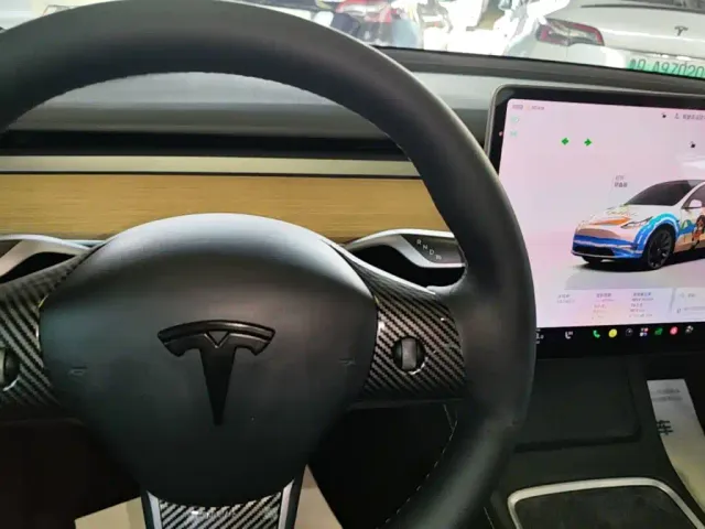 Tesla Model Y — Фото автомобиля 13