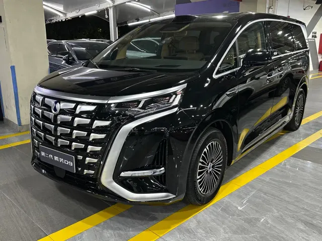 Фотография автомобиля — Denza D9