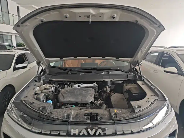 Haval Xiaolong MAX — Фото автомобиля 19