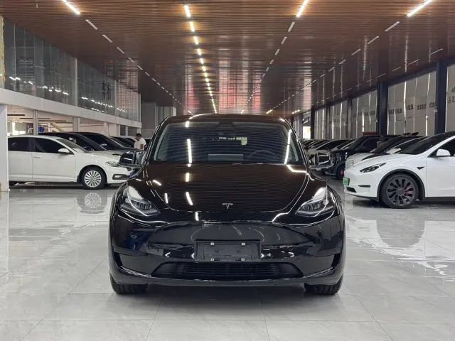 Tesla Model Y — Фото автомобиля 2