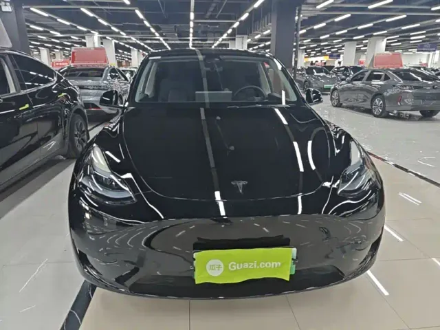 Tesla Model Y — Фото автомобиля 2
