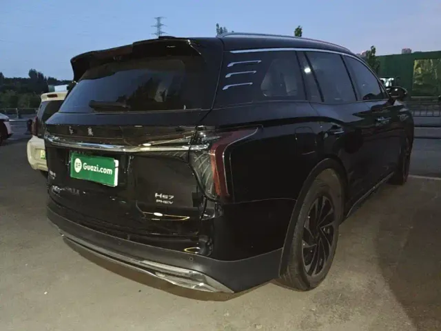 Hongqi HS7 PHEV — Фото автомобиля 6