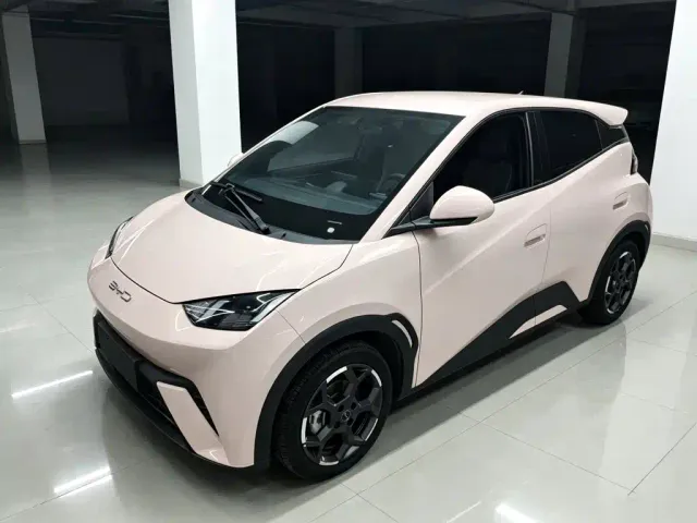 Фотография автомобиля — BYD Seagull