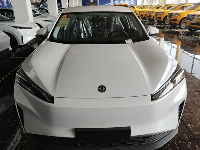 Dongfeng SKY EV01 — Фото автомобиля 2