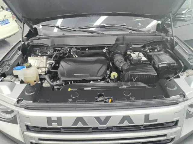 Haval Big Dog — Фото автомобиля 10