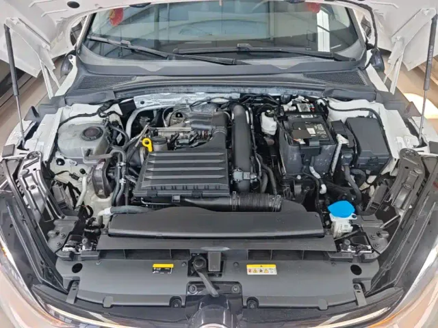 Volkswagen Lamando — Фото автомобиля 19