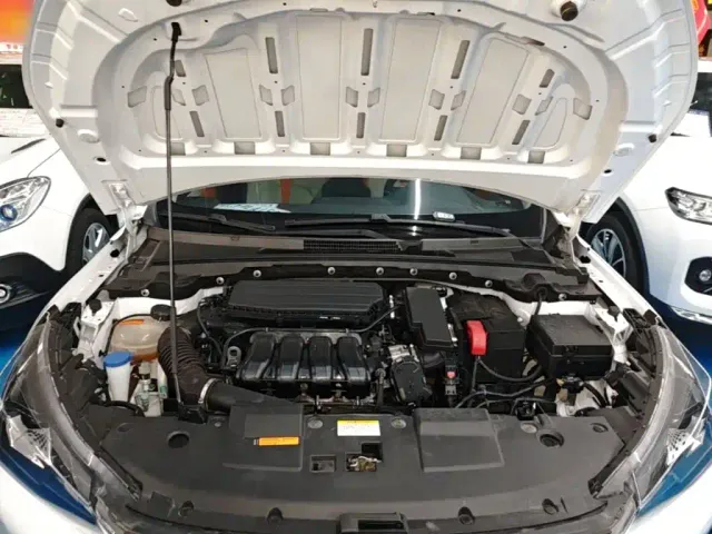 Dongfeng Yixuan GS — Фото автомобиля 19