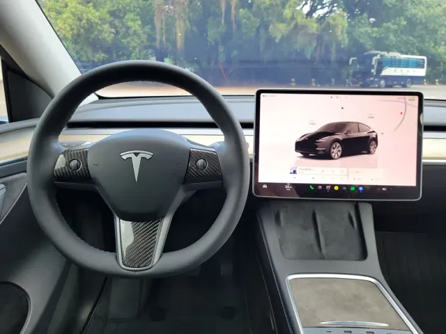 Tesla Model Y — Фото автомобиля 19