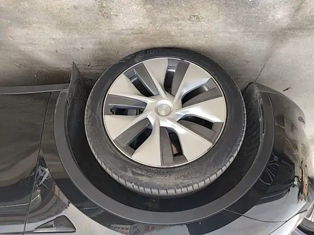 Tesla Model Y — Фото автомобиля 22