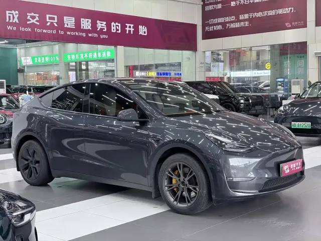 Tesla Model Y — Фото автомобиля 2