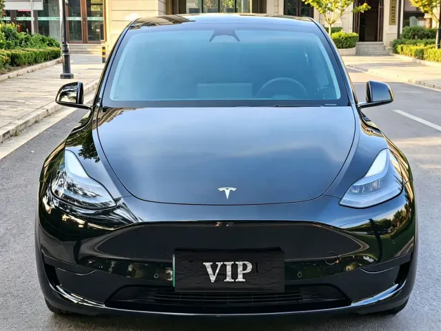 Tesla Model Y — Фото автомобиля 2