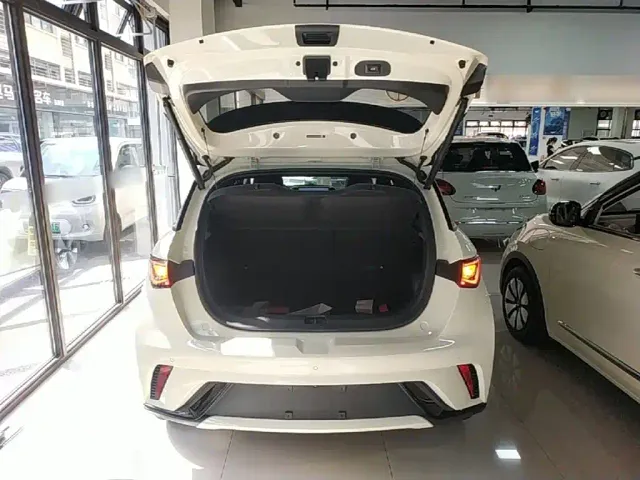 BYD Dolphin — Фото автомобиля 18