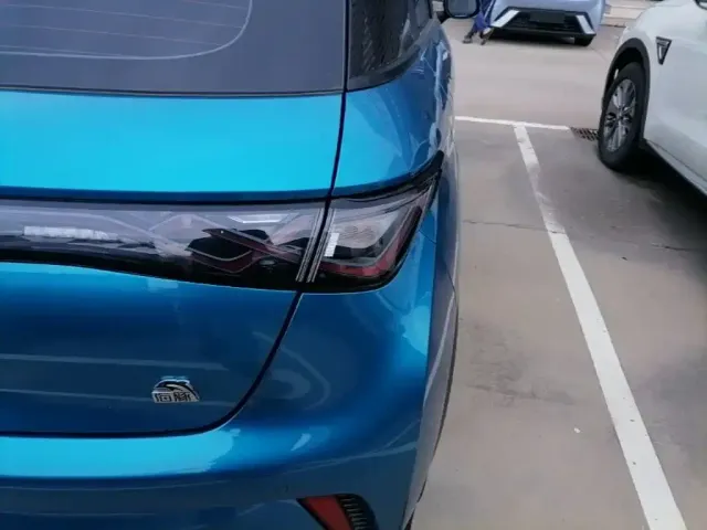 BYD Dolphin 2021 401km Knight Edition — Фото автомобиля 23