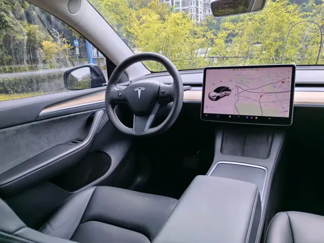 Tesla Model Y — Фото автомобиля 13