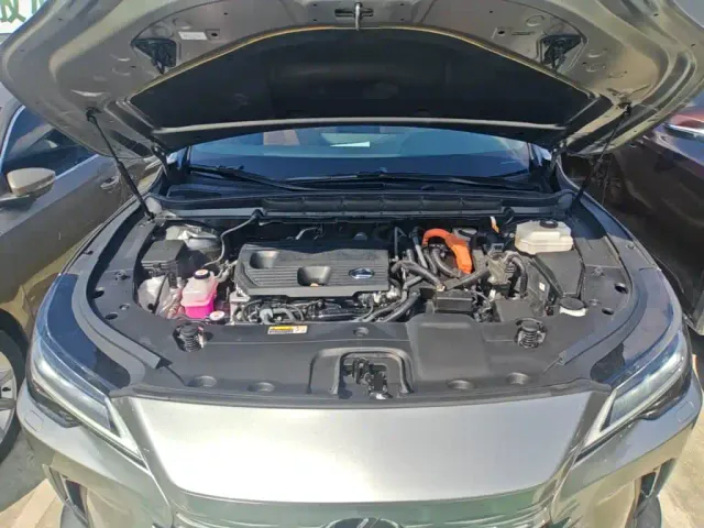 Lexus RX — Фото автомобиля 19