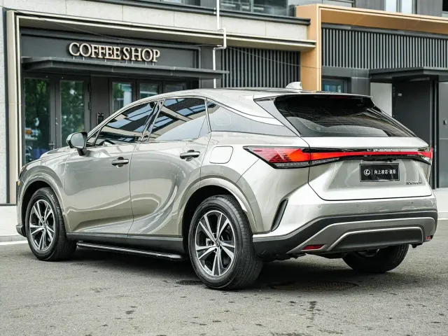 Lexus RX — Фото автомобиля 6