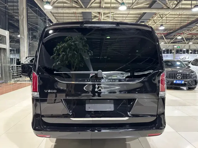 Mercedes-Benz V-Class — Фото автомобиля 6