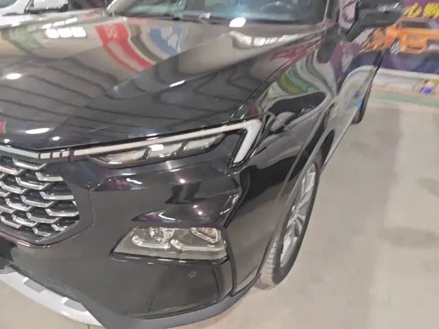 Ford Lingrui — Фото автомобиля 23