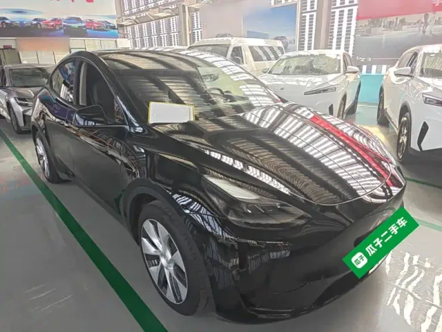 Tesla Model Y — Фото автомобиля 3