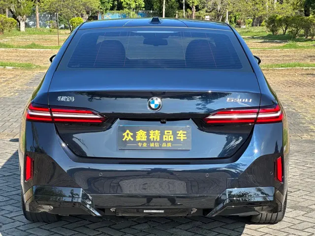 BMW 5 Series — Фото автомобиля 15