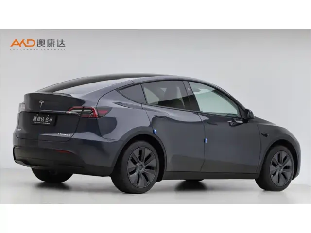 Tesla Model Y — Фото автомобиля 3