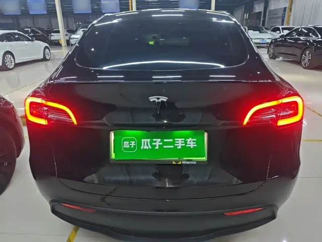 Tesla Model Y — Фото автомобиля 5