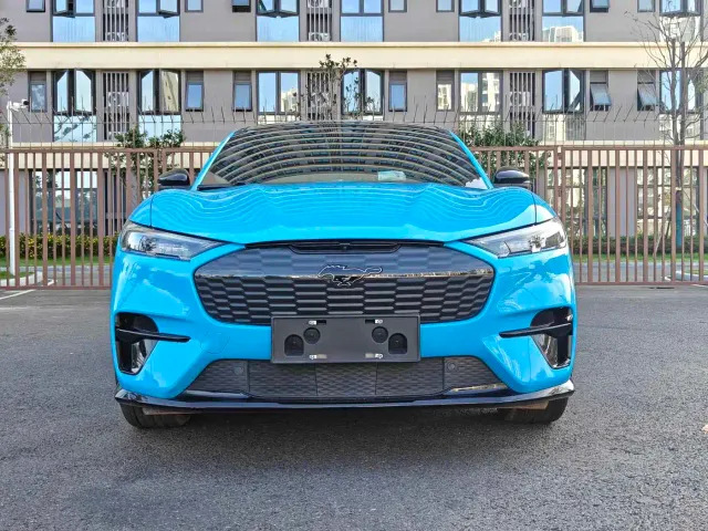 Ford Mustang Mach-E — Фото автомобиля 2