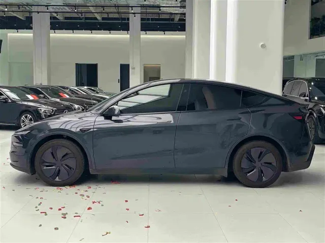 Tesla Model Y — Фото автомобиля 4