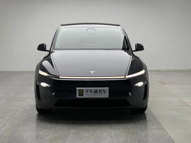 Tesla Model Y — Фото автомобиля 2