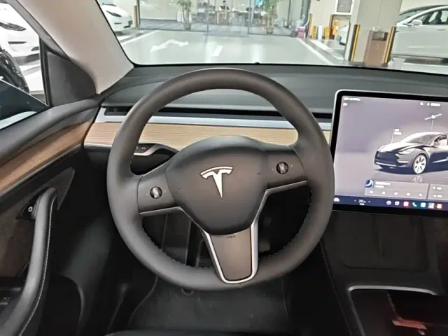 Tesla Model Y — Фото автомобиля 10