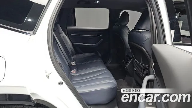 Renault-KoreaSamsung Grand Koleos Grand Koleos — Фото автомобиля 9