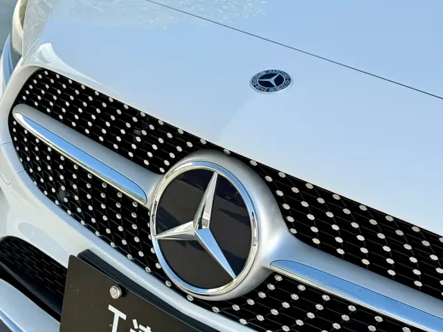 Mercedes-Benz A-Class — Фото автомобиля 12