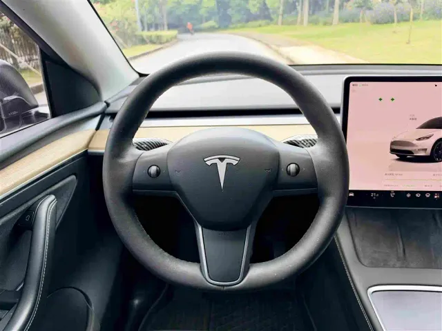 Tesla Model Y — Фото автомобиля 13