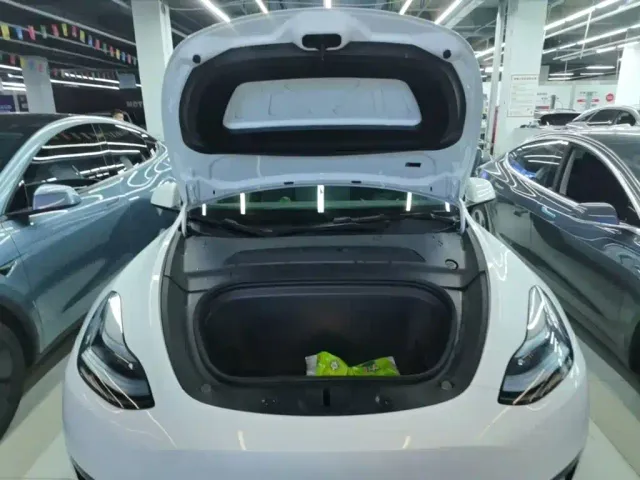 Tesla Model Y — Фото автомобиля 19