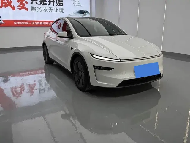 Tesla Model Y — Фото автомобиля 2