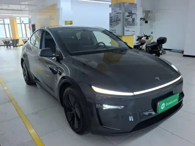 Tesla Model Y — Фото автомобиля 3