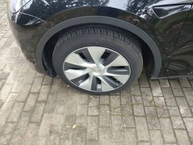 Tesla Model Y — Фото автомобиля 22