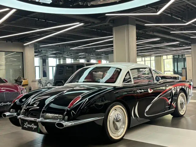 SONGSAN MOTORS SS DOLPHIN — Фото автомобиля 5