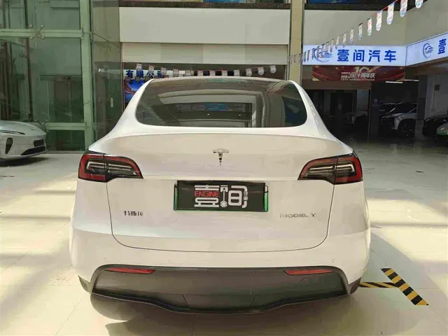 Tesla Model Y — Фото автомобиля 4