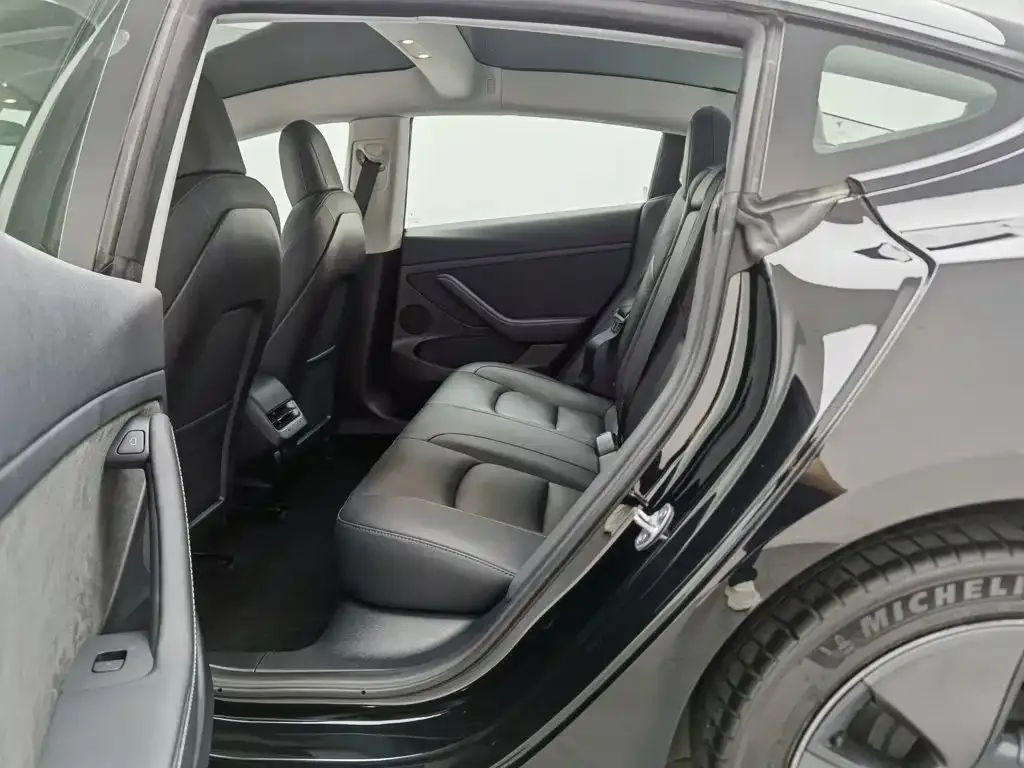 Tesla Model 3 2022 Model Rear-Wheel Drive Version — Фото автомобиля 15