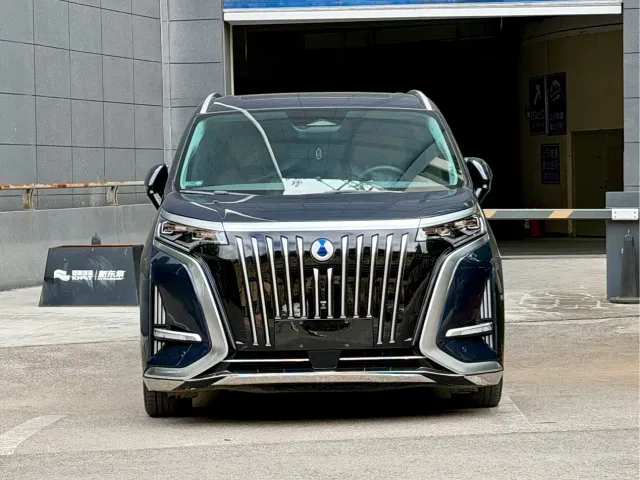 Denza D9 — Фото автомобиля 2